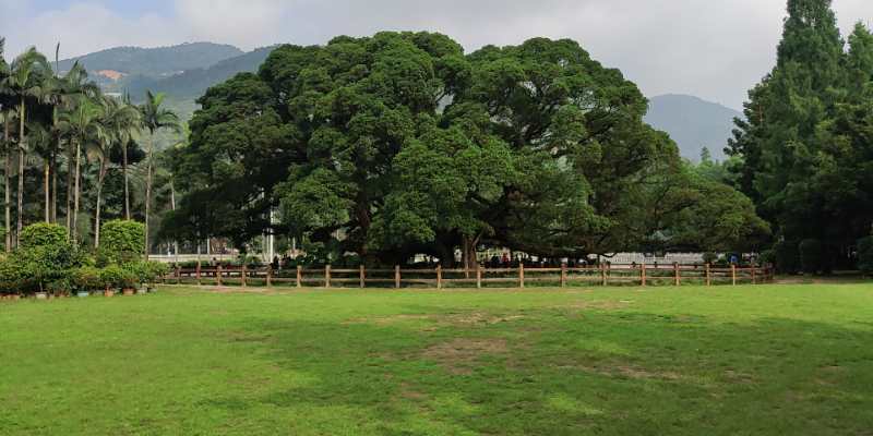 福州華光天銳全體員工于福州國家森林公園開(kāi)展團建活動(dòng)